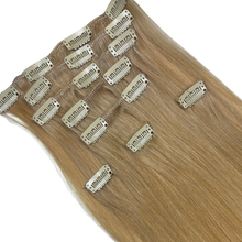Load image into Gallery viewer, Iced Latte Human Hair Clip-In Extensions
